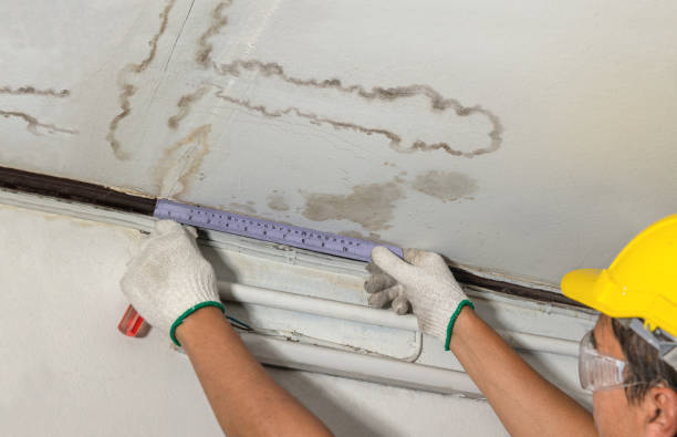 Reliable Mold Remediation contractor in Pownal, ME by Water Damage Irwin